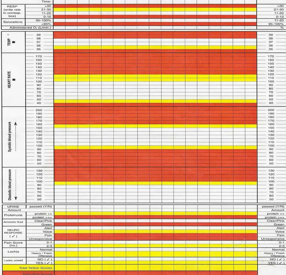 Vital Signs Observation Chart